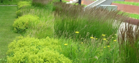 Landscape Architecture