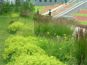 Landschaftsarchitektur