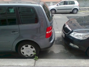 Mehr Grün geht nicht 2