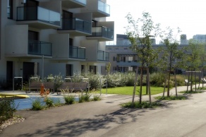 Wohnbau BUWOG Rivus (BT 1, 4-6)